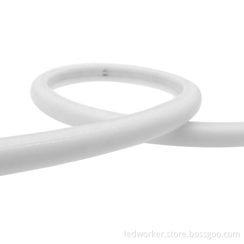 Custom 360 LED Double-Sided Flexible Neon Light